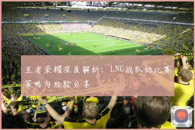 王者荣耀深度解析:LNG战队的比赛策略与经验分享