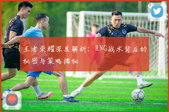 王者荣耀深度解析：RNG战术背后的秘密与策略揭秘